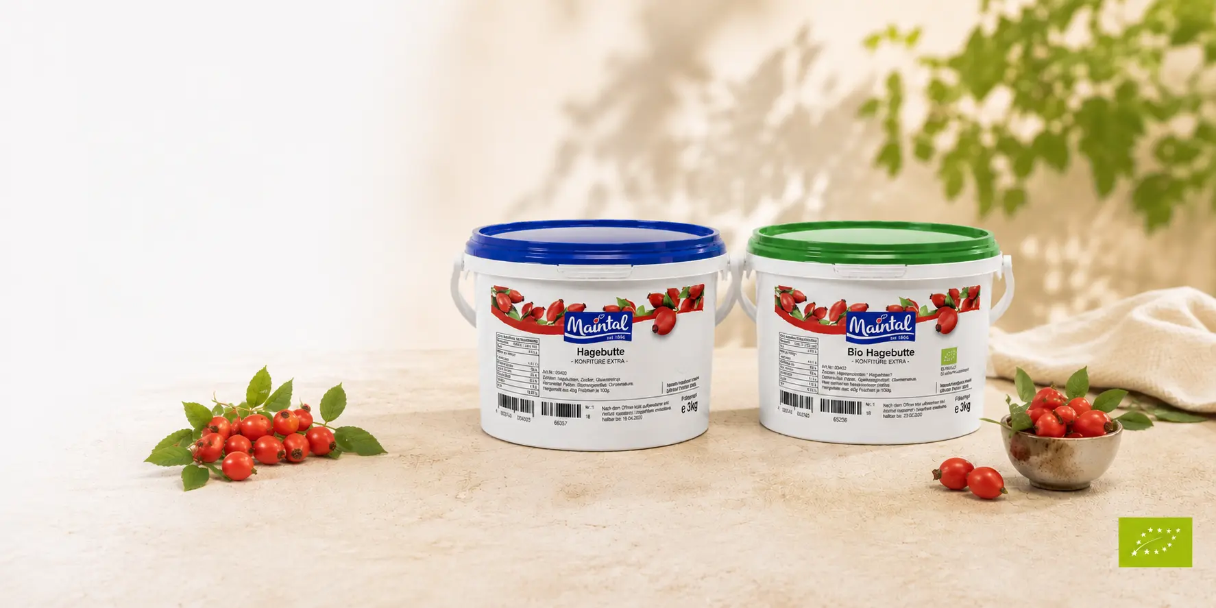 zwei 3kg Eimer Hagebutte auf hellem Hintergrund und frischen hagebutten. 